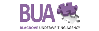 BUA Logo